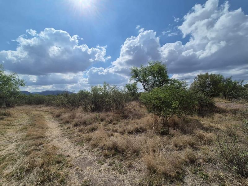 0 Bedroom Property for Sale in Thabazimbi Limpopo