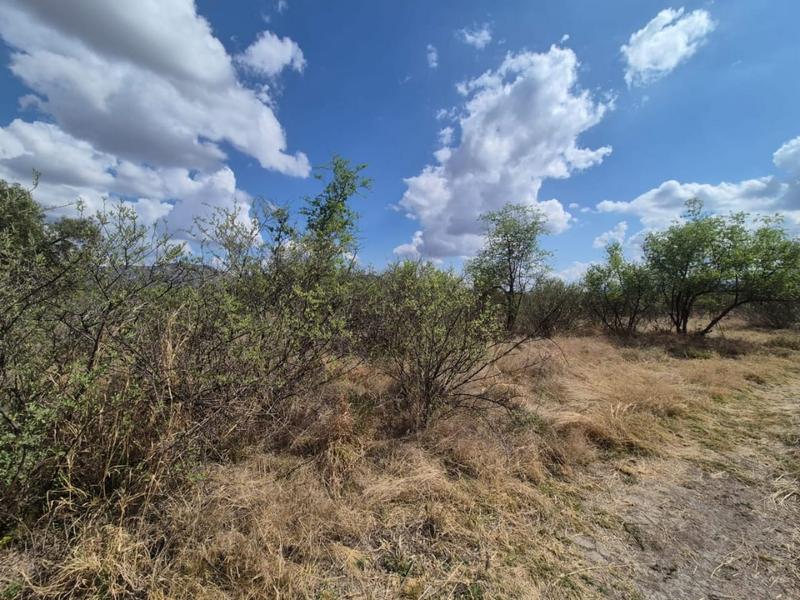 0 Bedroom Property for Sale in Thabazimbi Limpopo