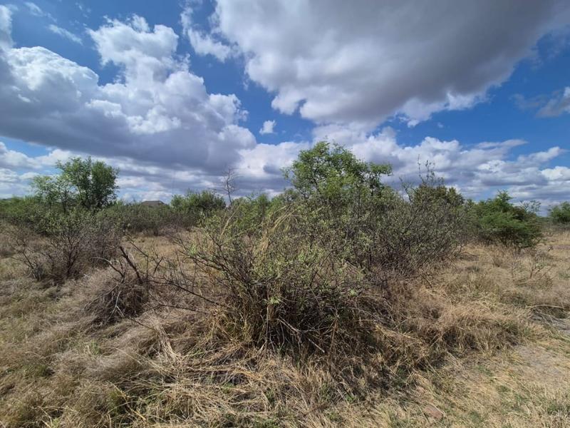 0 Bedroom Property for Sale in Thabazimbi Limpopo