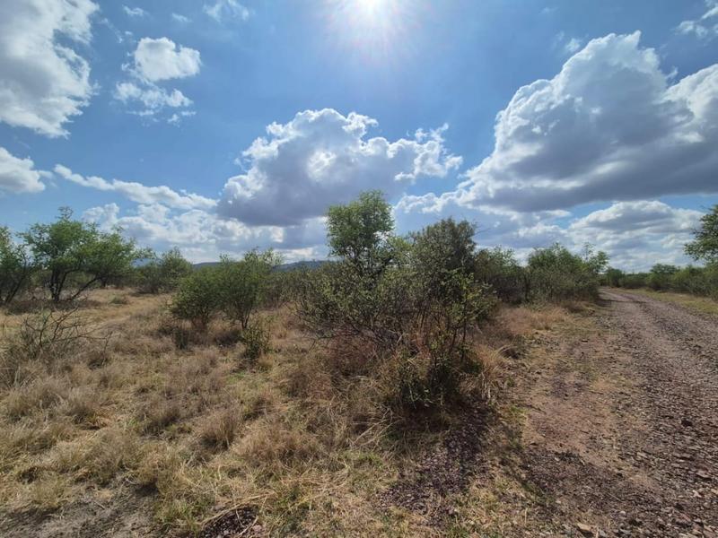 0 Bedroom Property for Sale in Thabazimbi Limpopo