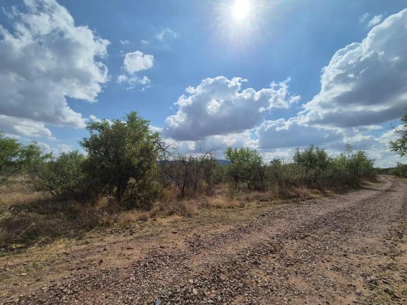 0 Bedroom Property for Sale in Thabazimbi Limpopo