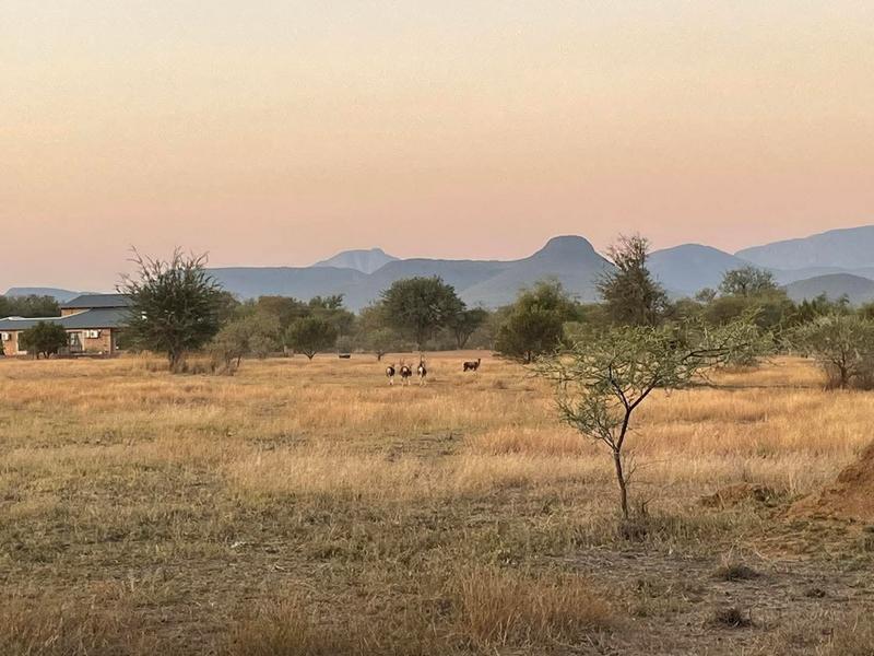 0 Bedroom Property for Sale in Thabazimbi Limpopo