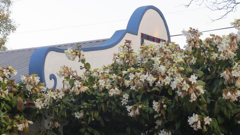 To Let Commercial Property for Rent in Mokopane Central Limpopo