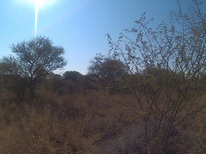 0 Bedroom Property for Sale in Lephalale Limpopo