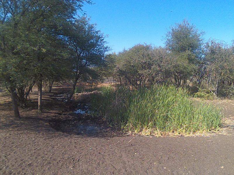 0 Bedroom Property for Sale in Lephalale Limpopo