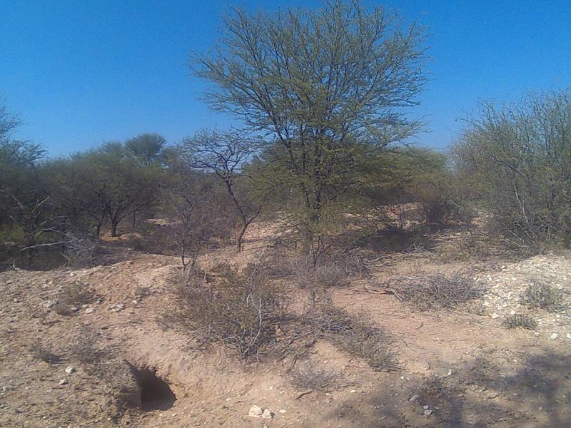 0 Bedroom Property for Sale in Lephalale Limpopo