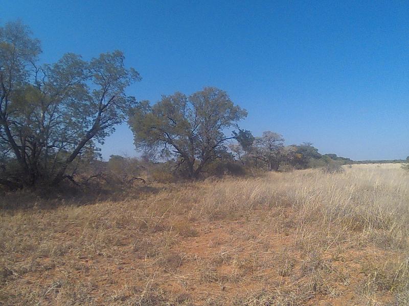 0 Bedroom Property for Sale in Lephalale Limpopo