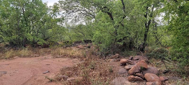 0 Bedroom Property for Sale in Lephalale Limpopo
