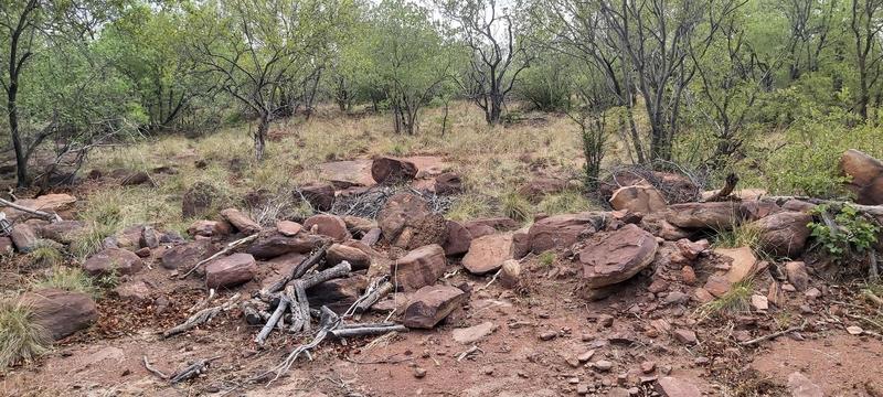 0 Bedroom Property for Sale in Lephalale Limpopo