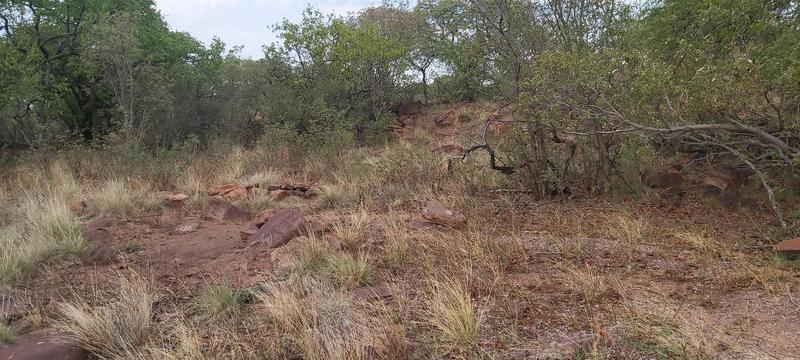 0 Bedroom Property for Sale in Lephalale Limpopo