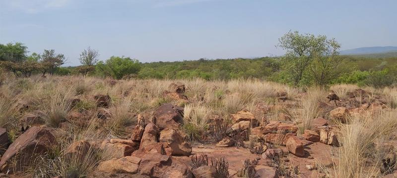 0 Bedroom Property for Sale in Lephalale Limpopo