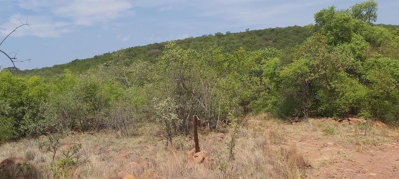 0 Bedroom Property for Sale in Lephalale Limpopo