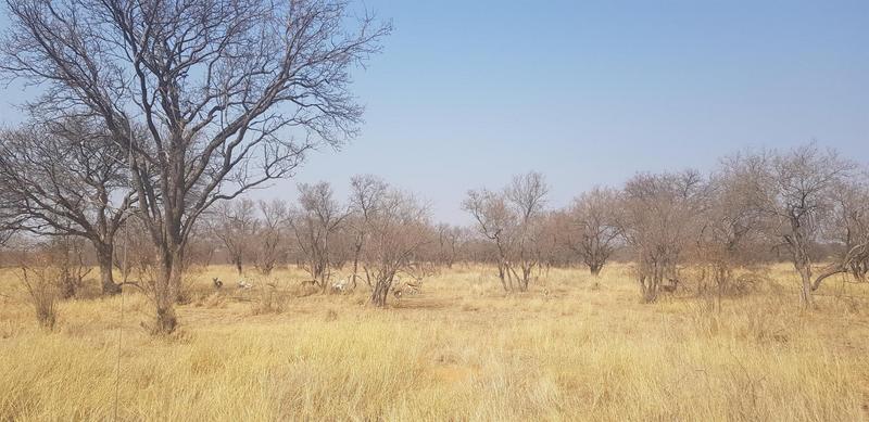 0 Bedroom Property for Sale in Lephalale Limpopo