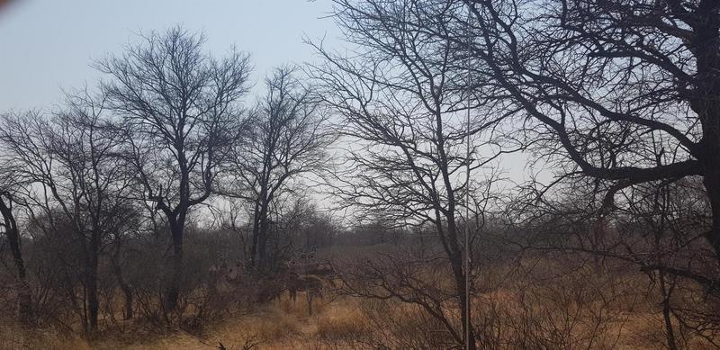 0 Bedroom Property for Sale in Lephalale Limpopo