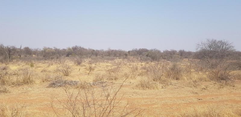 0 Bedroom Property for Sale in Lephalale Limpopo