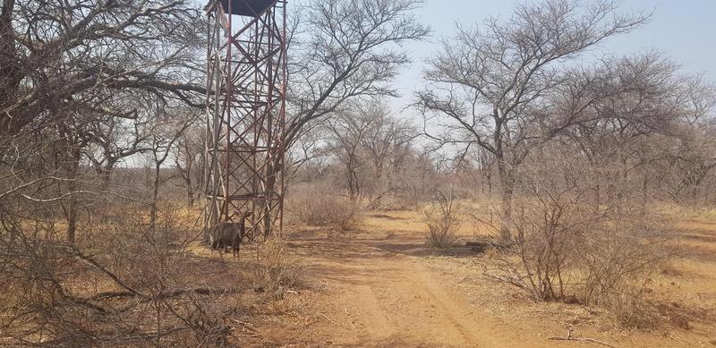 0 Bedroom Property for Sale in Lephalale Limpopo