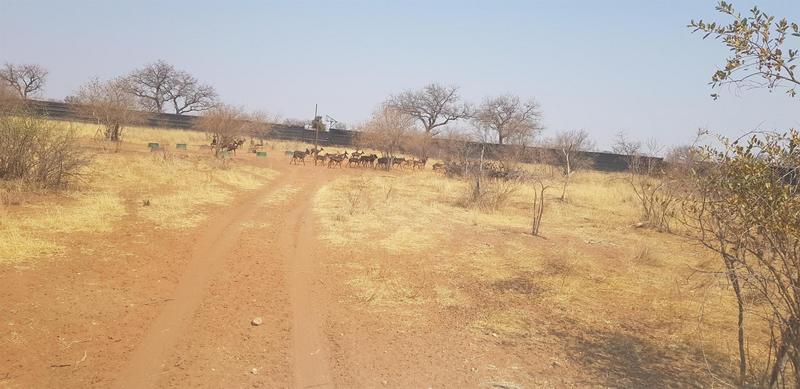 0 Bedroom Property for Sale in Lephalale Limpopo