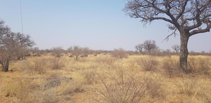 0 Bedroom Property for Sale in Lephalale Limpopo