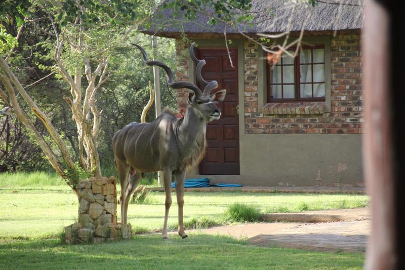 0 Bedroom Property for Sale in Lephalale Limpopo