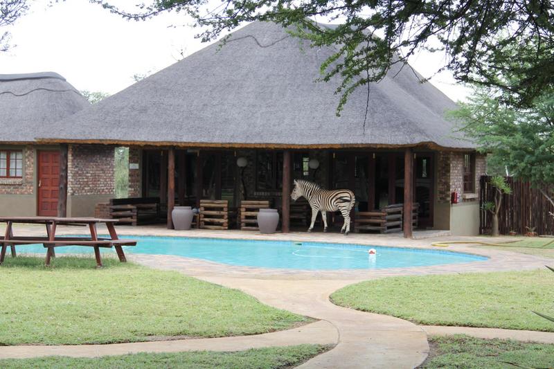 0 Bedroom Property for Sale in Lephalale Limpopo