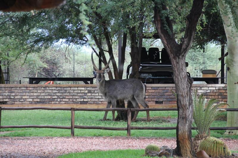 0 Bedroom Property for Sale in Lephalale Limpopo