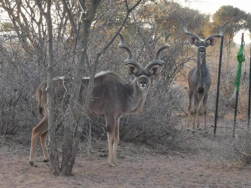 0 Bedroom Property for Sale in Lephalale Limpopo