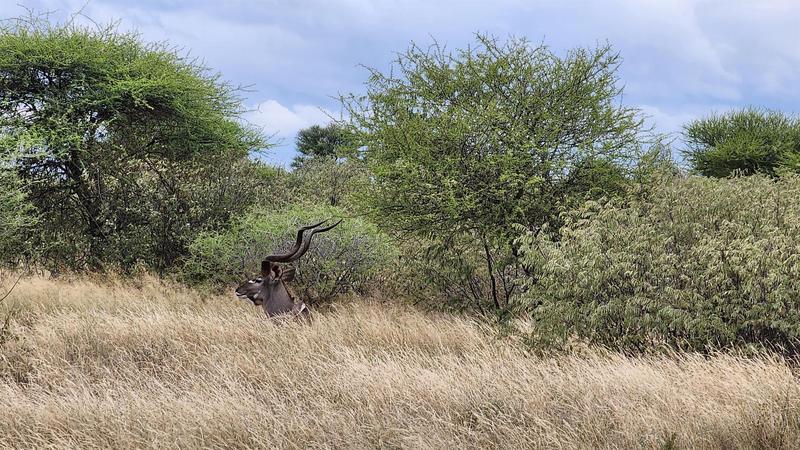 0 Bedroom Property for Sale in Lephalale Limpopo