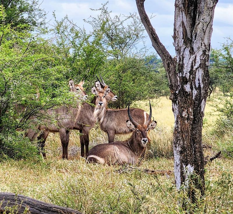 0 Bedroom Property for Sale in Lephalale Limpopo