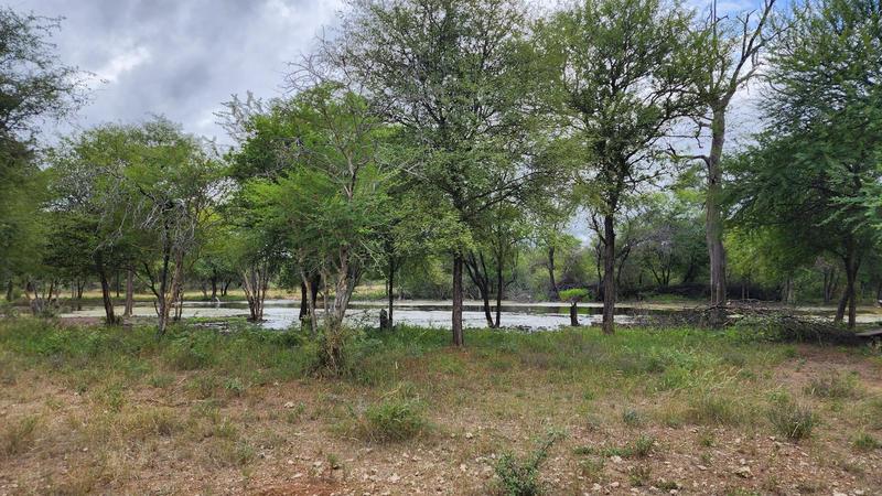 0 Bedroom Property for Sale in Lephalale Limpopo