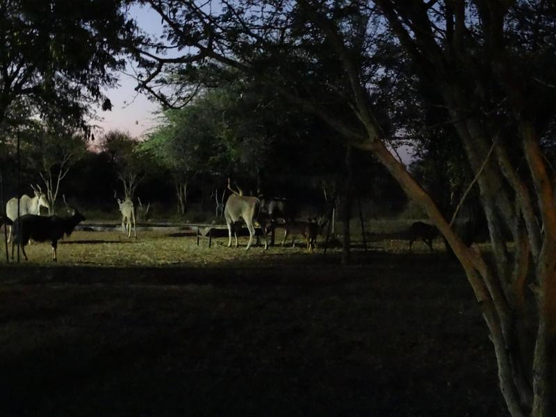 0 Bedroom Property for Sale in Lephalale Limpopo