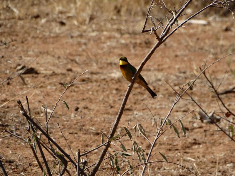 0 Bedroom Property for Sale in Lephalale Limpopo