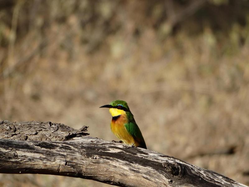 0 Bedroom Property for Sale in Lephalale Limpopo