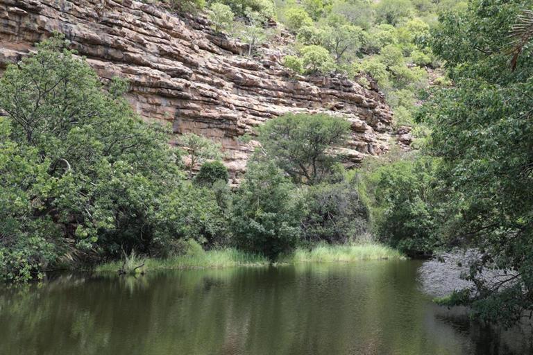 0 Bedroom Property for Sale in Lephalale Limpopo