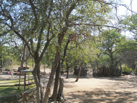 0 Bedroom Property for Sale in Mopane Limpopo