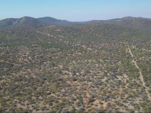 0 Bedroom Property for Sale in Mopane Limpopo