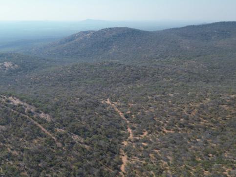 0 Bedroom Property for Sale in Mopane Limpopo