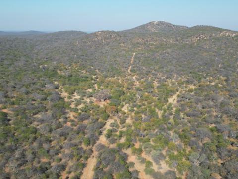 0 Bedroom Property for Sale in Mopane Limpopo