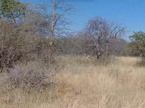 0 Bedroom Property for Sale in Mopane Limpopo
