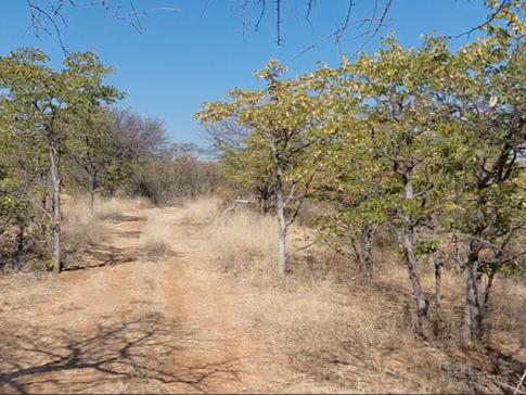 0 Bedroom Property for Sale in Mopane Limpopo