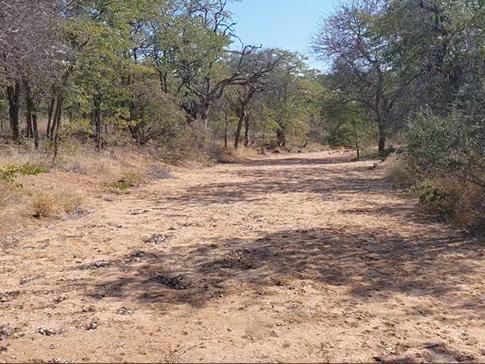 0 Bedroom Property for Sale in Mopane Limpopo