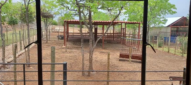 0 Bedroom Property for Sale in Musina Limpopo