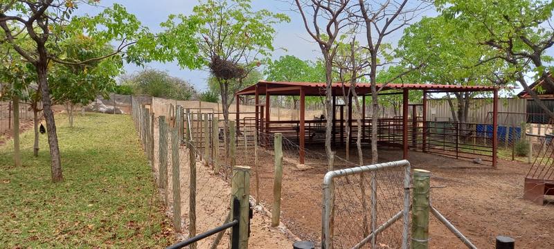 0 Bedroom Property for Sale in Musina Limpopo