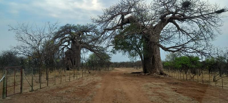 0 Bedroom Property for Sale in Musina Limpopo