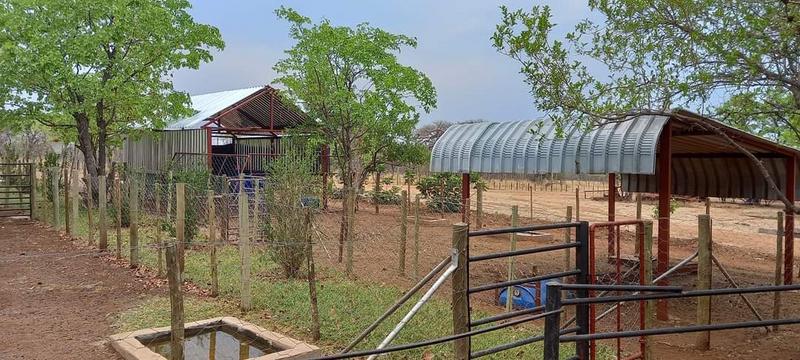 0 Bedroom Property for Sale in Musina Limpopo