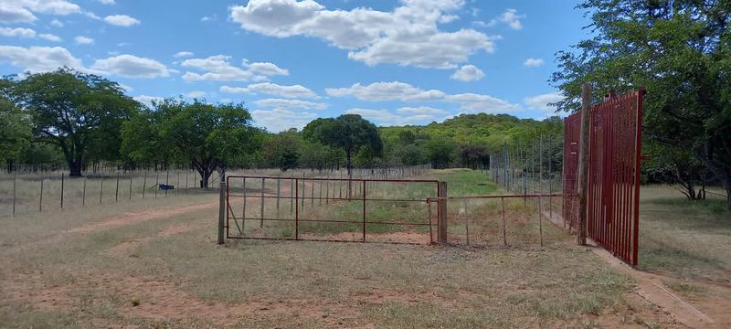 0 Bedroom Property for Sale in Musina Limpopo