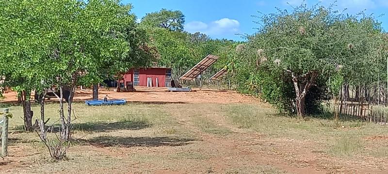 0 Bedroom Property for Sale in Musina Limpopo