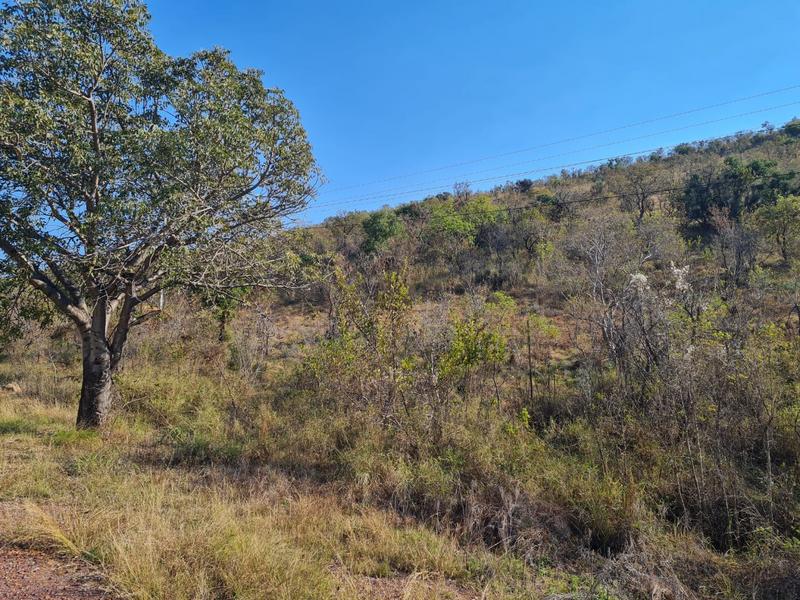 0 Bedroom Property for Sale in Groblersdal Limpopo