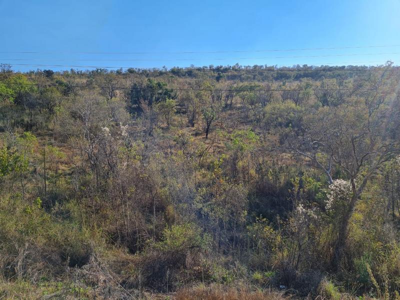 0 Bedroom Property for Sale in Groblersdal Limpopo