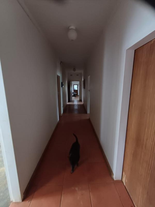 0 Bedroom Property for Sale in Capricorn Limpopo