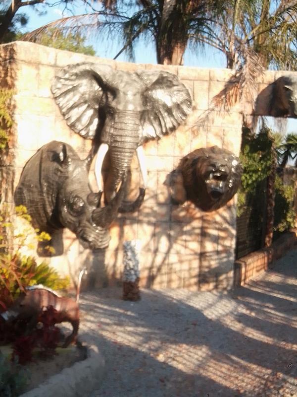 3 Bedroom Property for Sale in Polokwane Limpopo